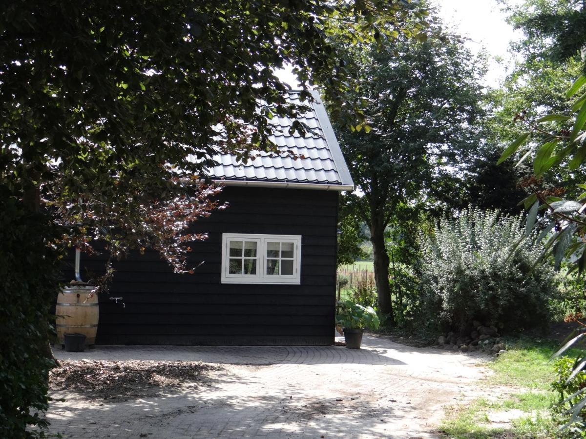 The Green Cottage Ruinen 외부 사진